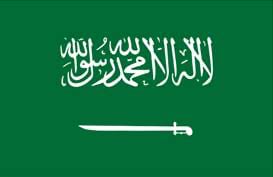 kingdom of saudi arabia